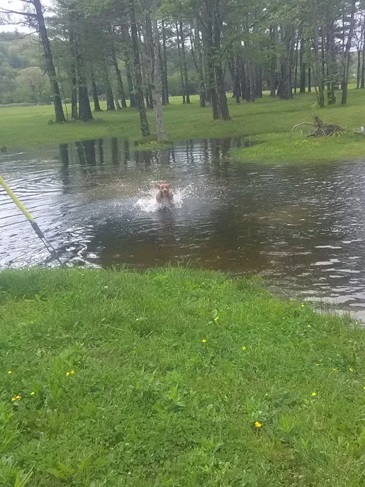 Happy Newland Park 3