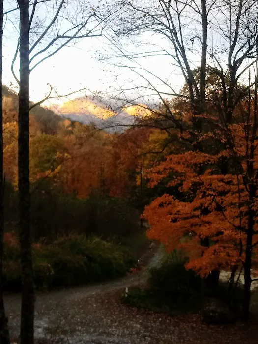 Plumtree Campground and Retreat 8