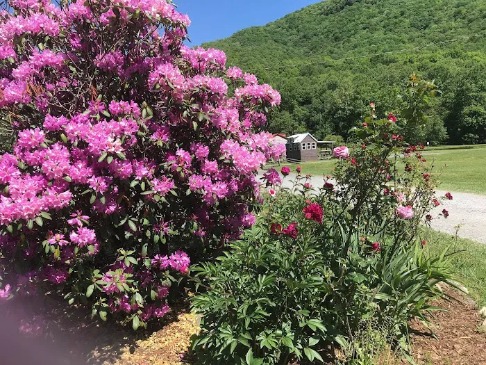Buck Hill Campground 10