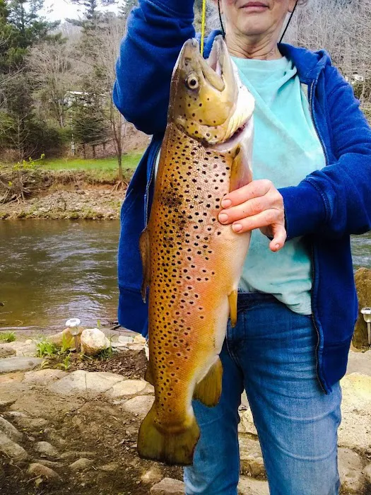 Buck Hill Campground 8