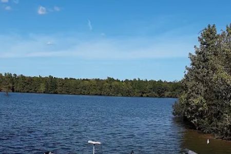 Greene's Pond Cabins & RV/Camper Park