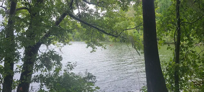 Greene's Pond Cabins & RV/Camper Park 2
