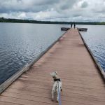 Jones Lake State Park Campground