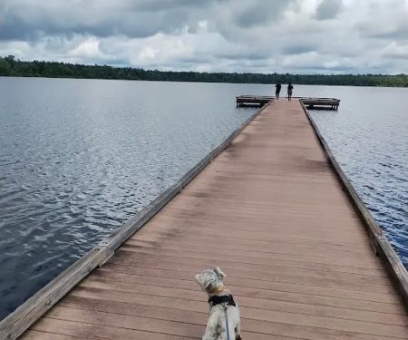 Jones Lake State Park Campground