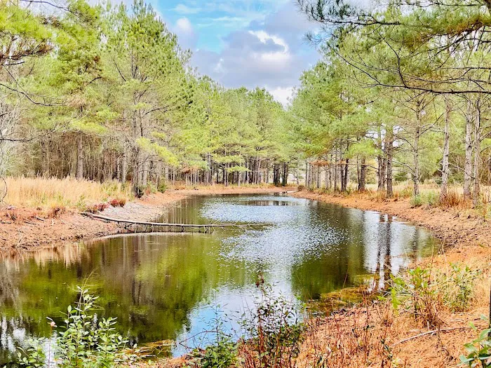 Sandy Ridge Campground & RV Resort 3