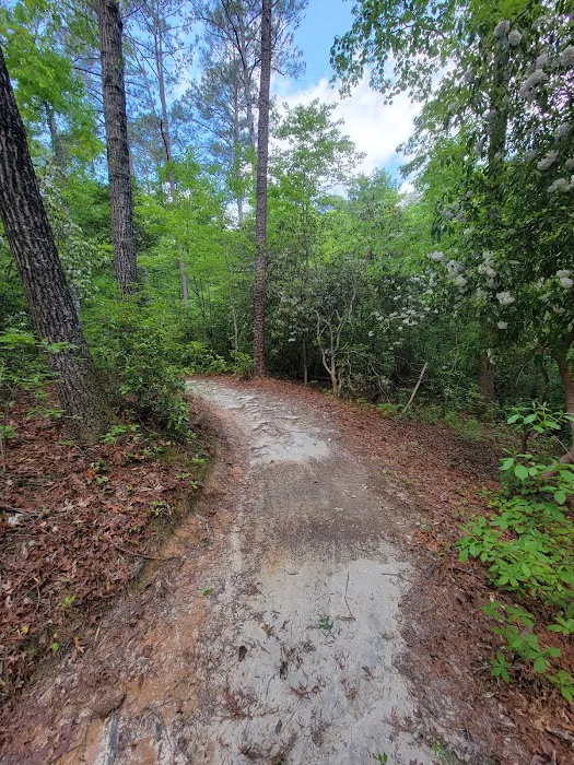 Raven Rock State Park Campground 8