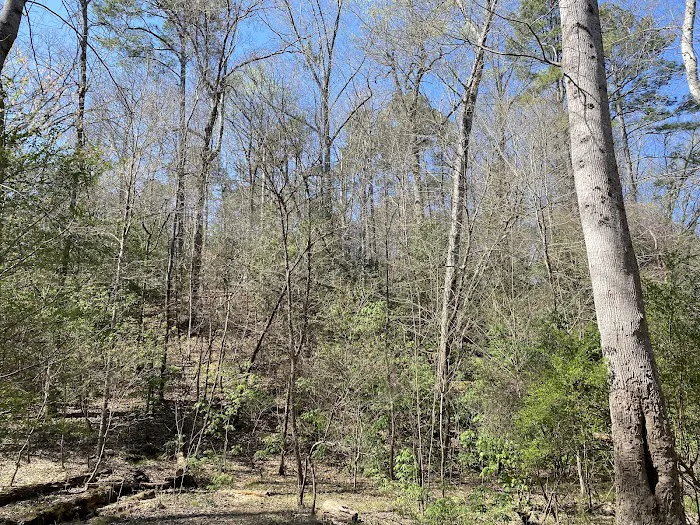 Raven Rock Canoe-in Campsites 1