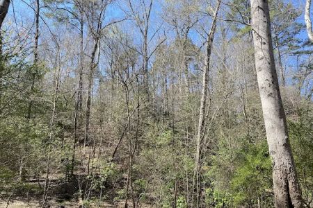 Raven Rock Canoe-in Campsites