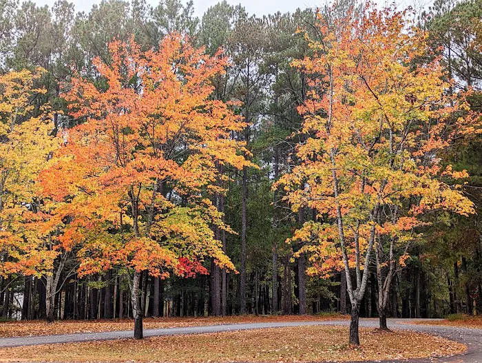 Vista Point Campground 3