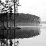 Vista Point Campground