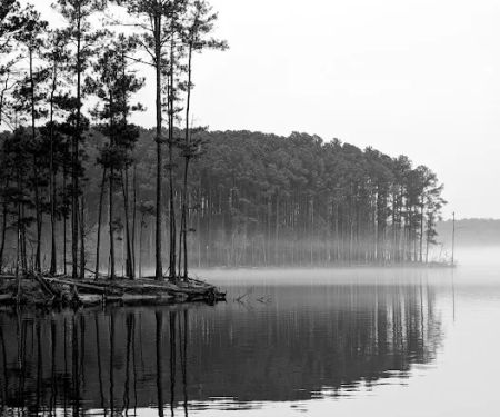 Vista Point Campground