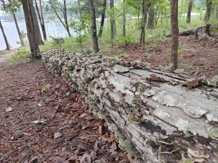 Poplar Point Loop G 7