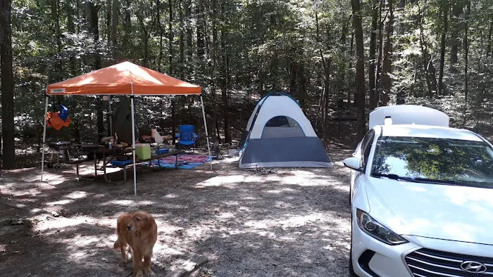 Poplar Point F Loop Campground 2