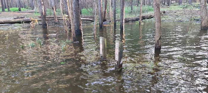 Poplar Point E Loop Campground 1