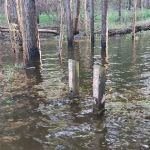 Poplar Point E Loop Campground