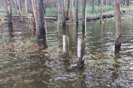 Poplar Point E Loop Campground