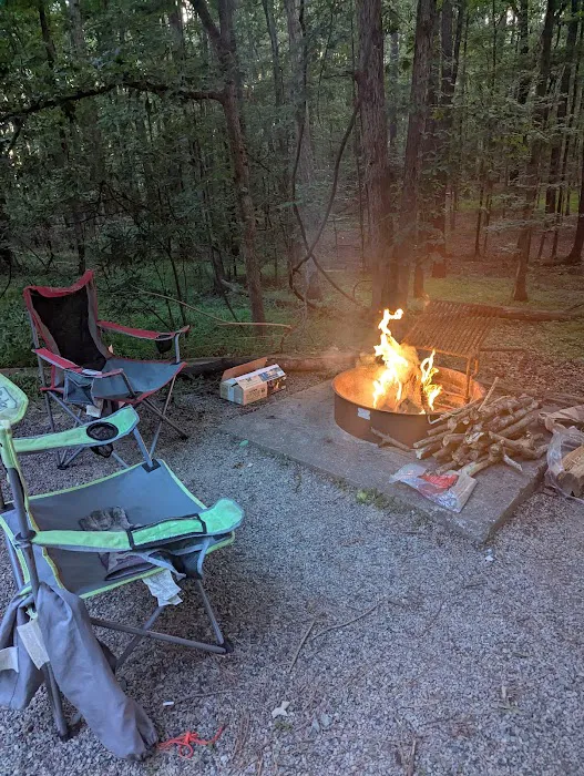 Poplar Point E Loop Campground 4