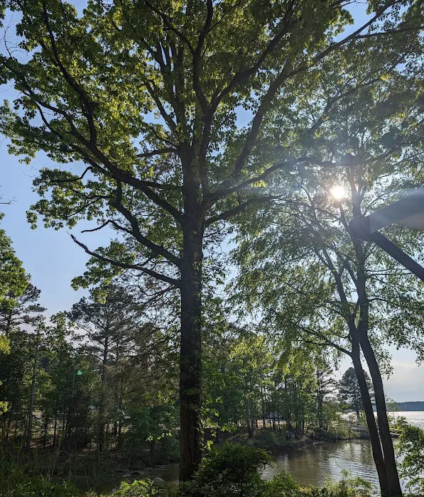 Poplar Point C Loop Campground, lot 39 6