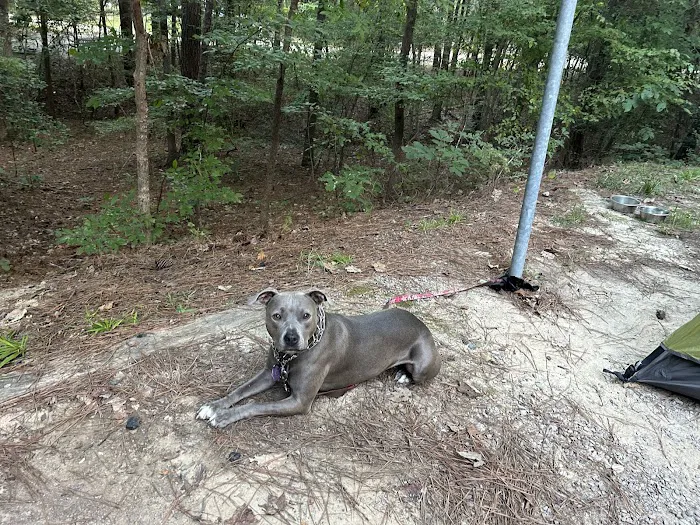 Poplar Point C Loop Campground, lot 39 1