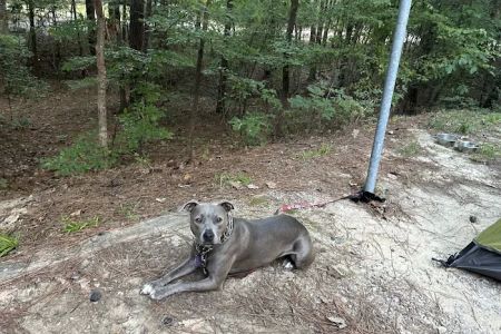 Poplar Point C Loop Campground, lot 39