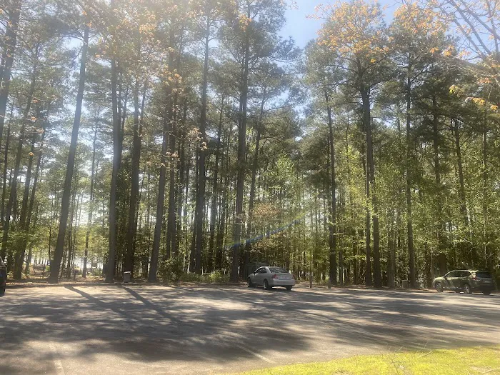 Parkers Creek Campground 10