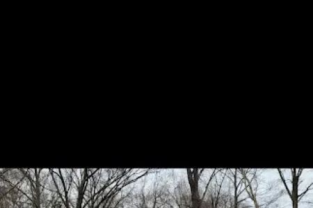 Hatchie Cove Campground