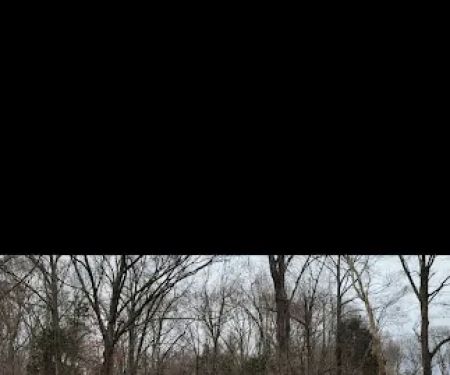 Hatchie Cove Campground