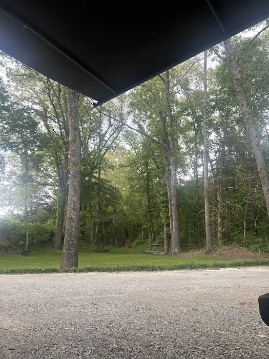 Hatchie Cove Campground 7