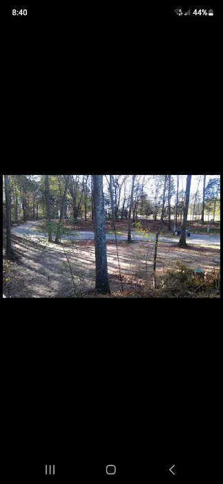 Hatchie Cove Campground 5