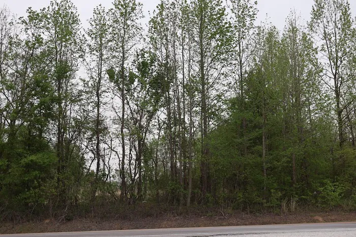 Country View RV Park 6