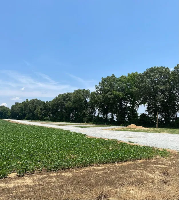 Littlejohn Lane RV Park 1