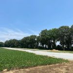 Littlejohn Lane RV Park