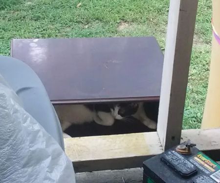 Victoria Mobile Home Park