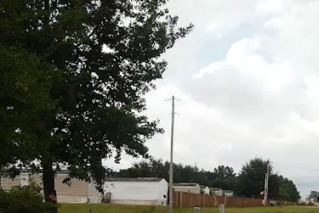 Grove At Cayce