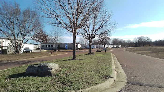 Grove At Cayce 2
