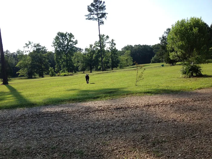 Country Dogs RV Park 7