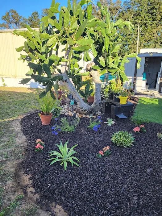 Windward Knoll 10