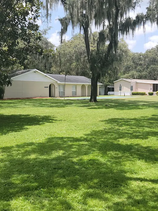 Plantation Oaks 1