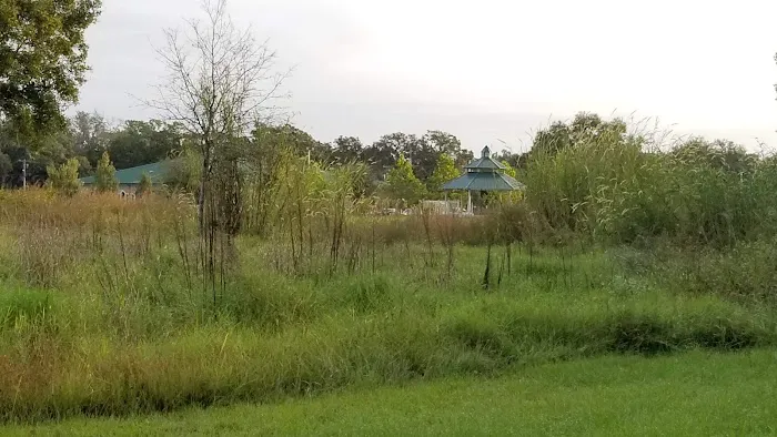 Plantation Oaks 4