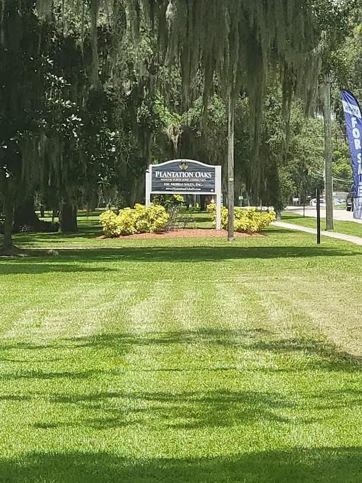 Chateau Forrest and Plantation oaks 2