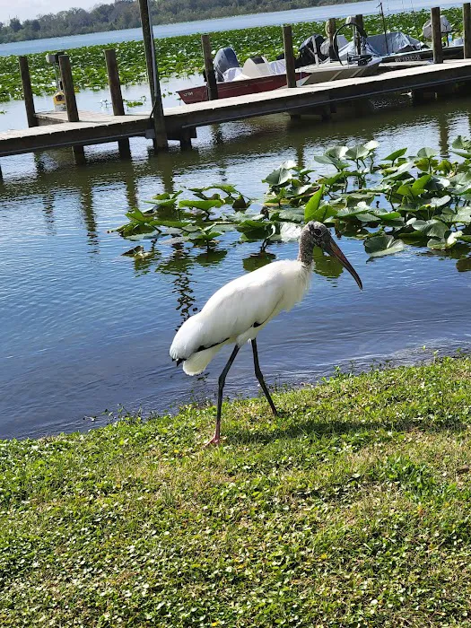 Lake Bonnet Village 3