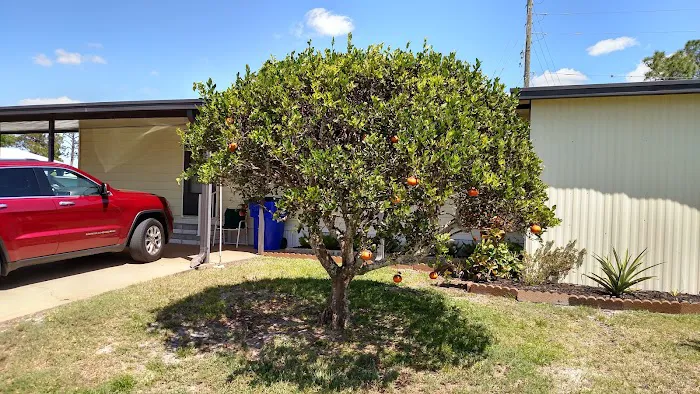 Colony Point Mobile Home Park 2