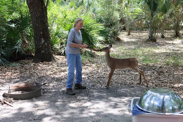Lake Kissimmee Campground 3