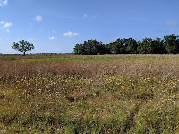 Lake Kissimmee Campground 10