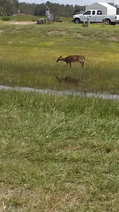 Lake Kissimmee Mobile Home Park 7