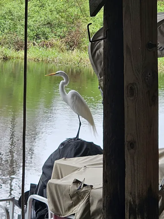 Kissimmee River Park & Marina 4