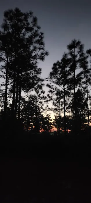 Camp Bushy Beaver 1