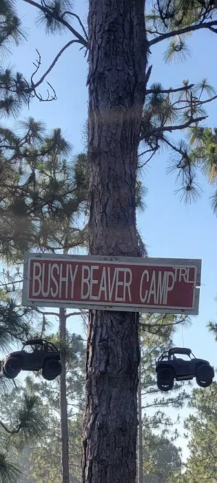 Camp Bushy Beaver 6