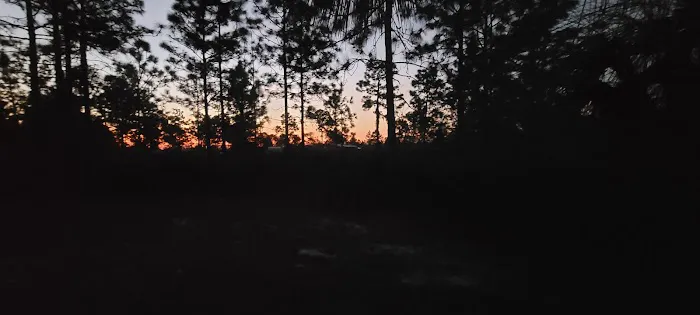 Camp Bushy Beaver 8