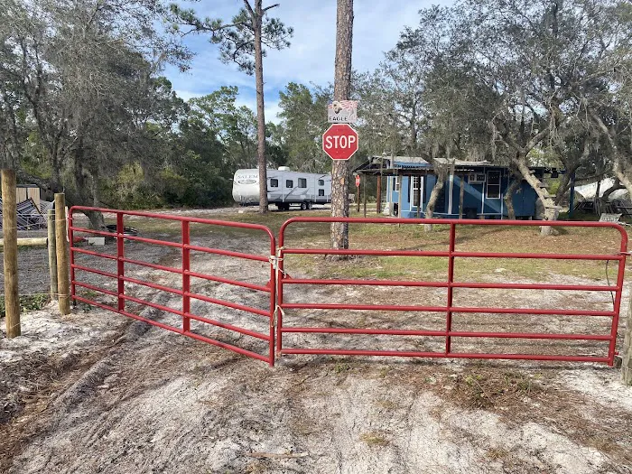 Camp Flying Eagle 3